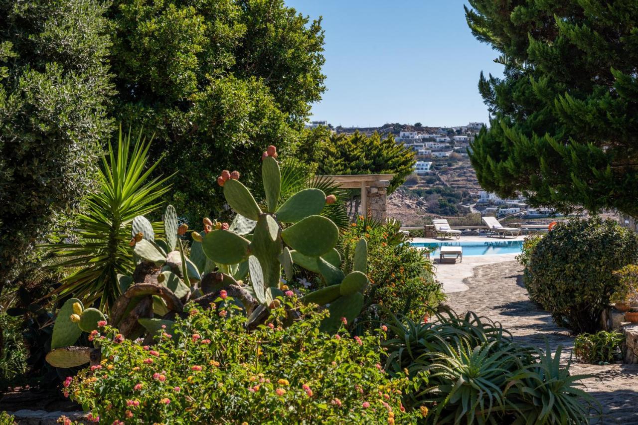 Yalos Mykonos Ornos Pouli Private Apartments W Shared Swimming Pool Mykonos Town Esterno foto